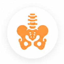 Pelvic health icon 250x250